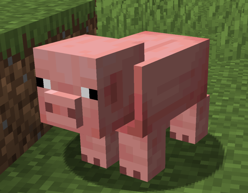 Picture of a pig