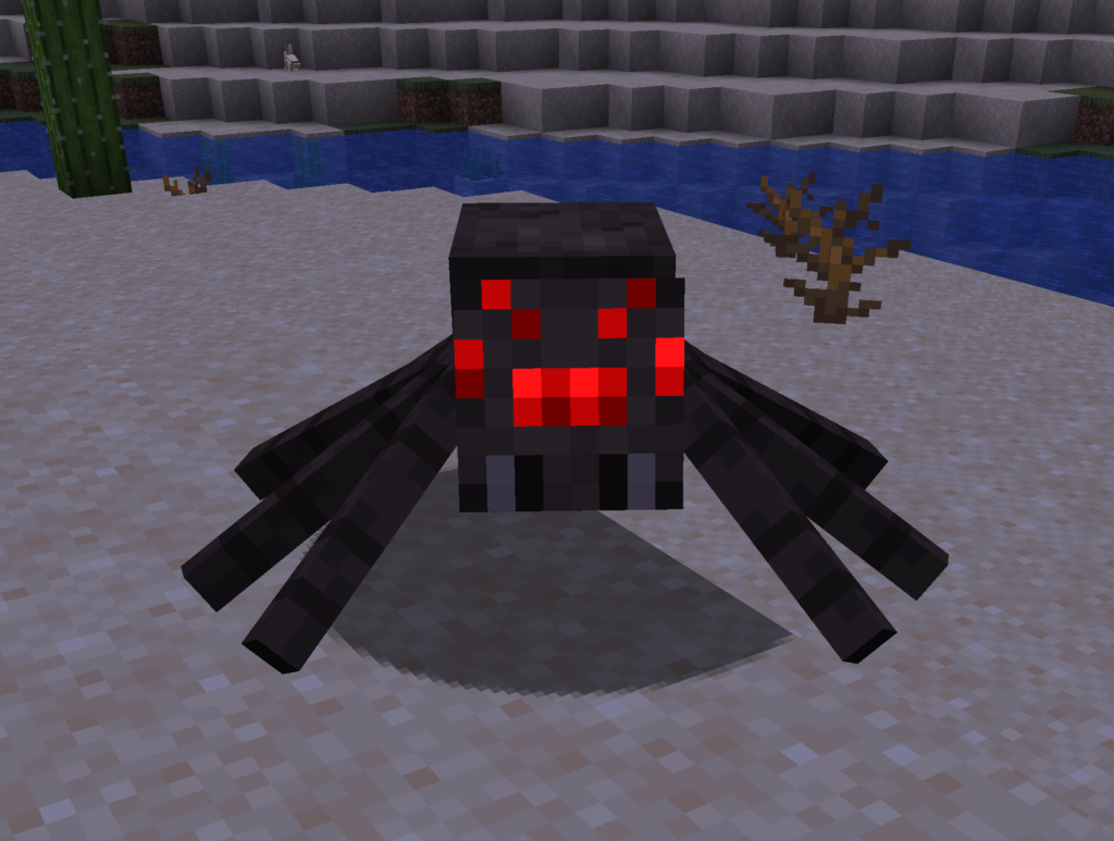 Picture of a Spider